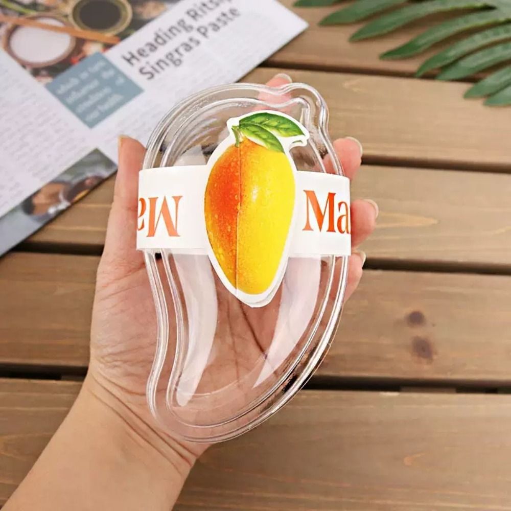 Food Storage Containers Xl - Boîte à gâteau transparente en forme