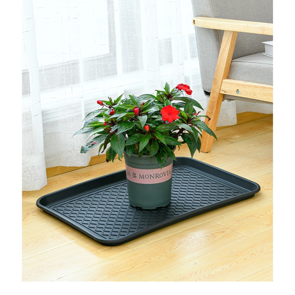 Food Storage In Plants - Plateau en plastique multifonctionnel, plateau à