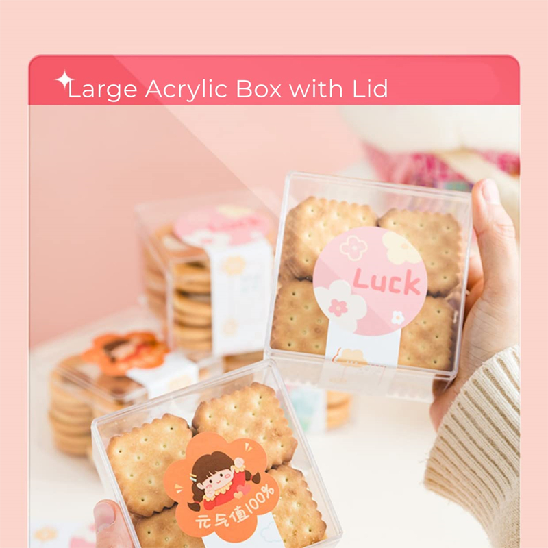 Boîtes en acrylique transparen - Xmas Food Storage Containers avis et prix