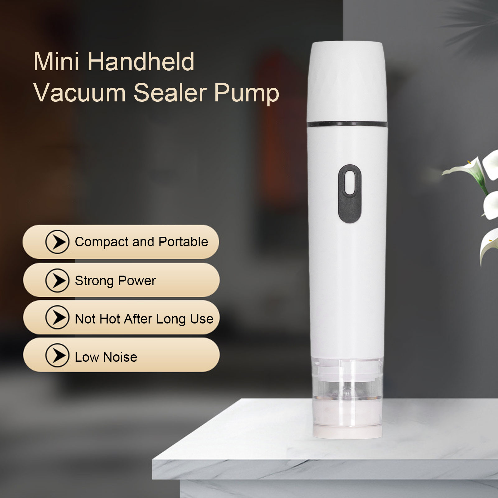 Pompe à Air électrique, scelle - Food Storage Machine avis et prix