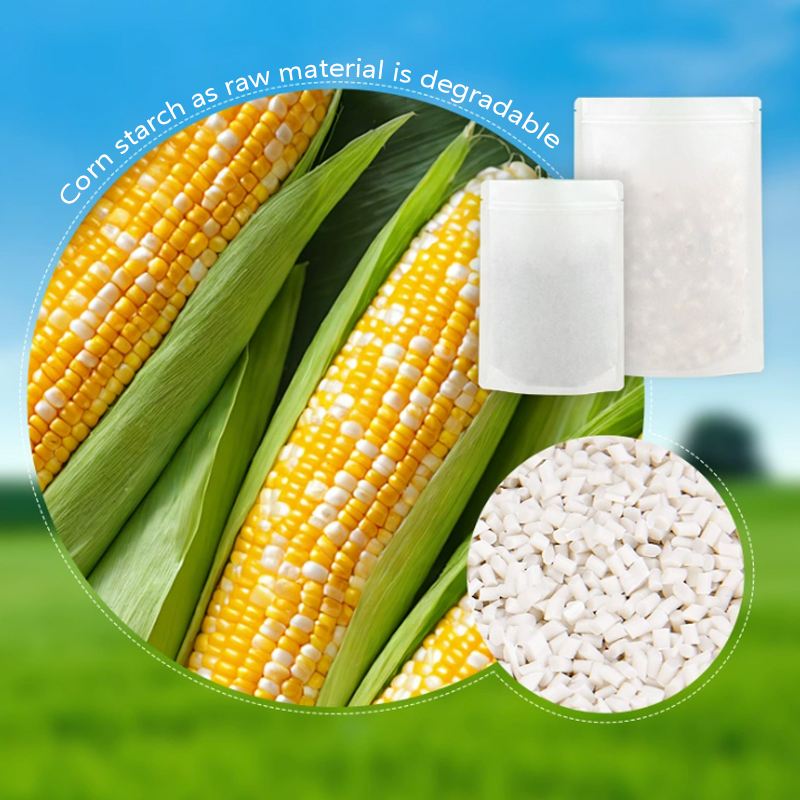 Sacs à fermeture éclair en pap - Food Storage In Plants avis et prix
