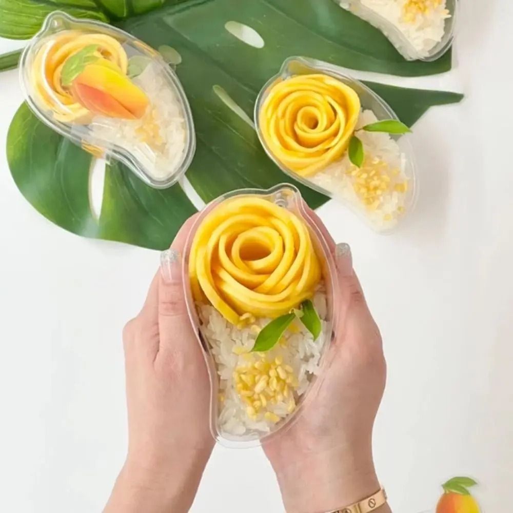 Boîte à gâteau transparente en - Food Storage Containers Xl avis et prix
